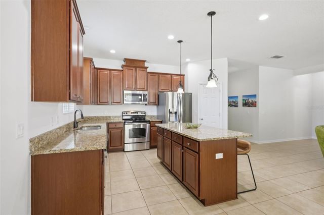 3207 ZANDER DRIVE, Grand Island, FL 32735