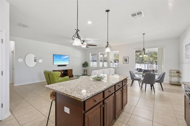 3207 ZANDER DRIVE, Grand Island, FL 32735