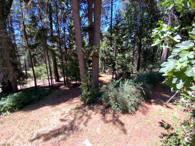 2682 Cresta Verde Dr, Camino, CA 95709