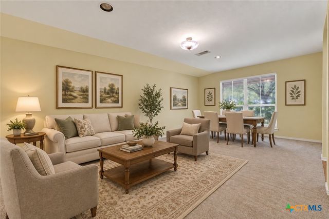 204 Falcon Ridge Drive, New Braunfels, TX 78130