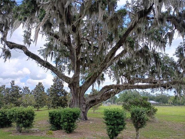 1403 BLACKWELDER ROAD, De Leon Springs, FL 32130