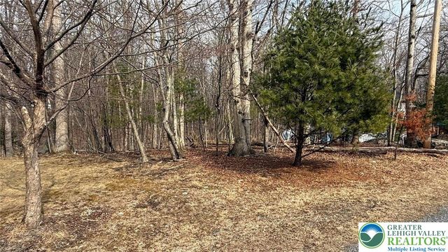 24 Green Meadow Drive, Middle Smithfield Twp, PA 18302