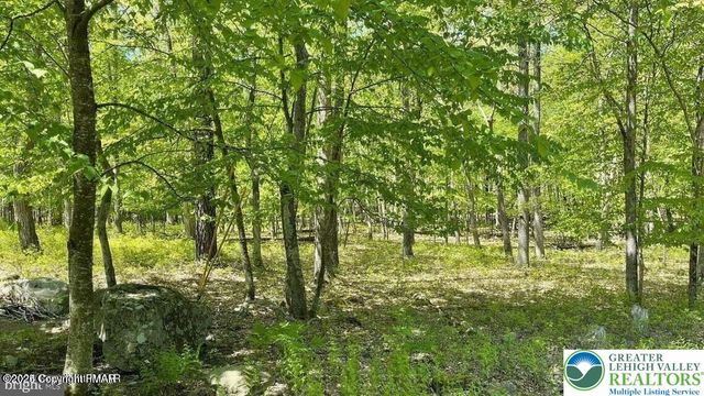 24 Green Meadow Drive, Middle Smithfield Twp, PA 18302