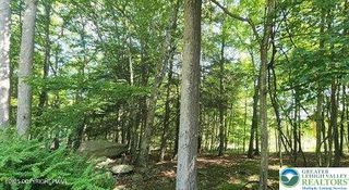24 Green Meadow Drive, Middle Smithfield Twp, PA 18302