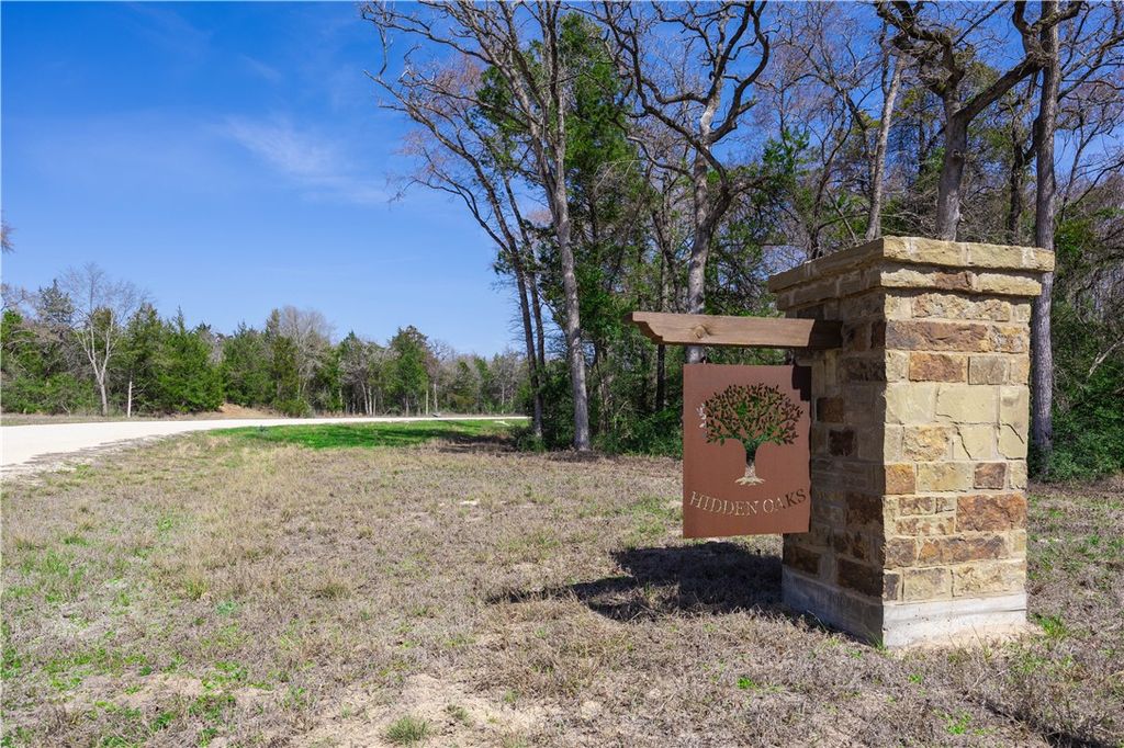 TBD (LOT 1) Hidden Hill Lane, Caldwell, TX 77836 — photo 4