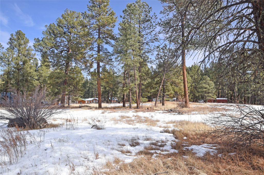 Lots 1, 2, 3, 6 and 7 Hidden Valley Road Jemez Homes and Land, LLC
