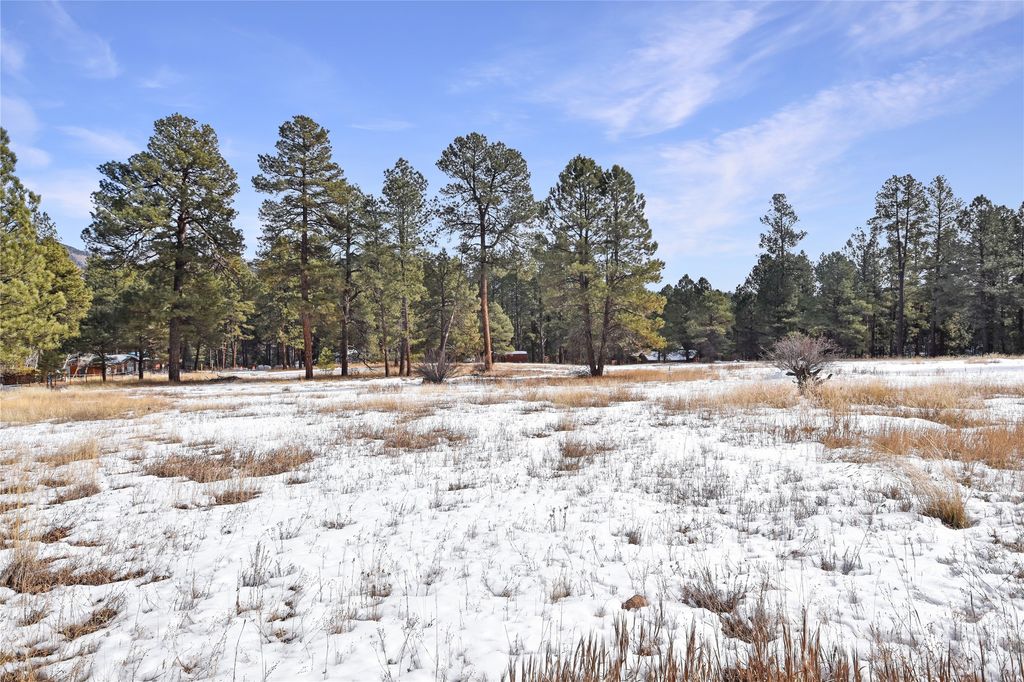Lots 1, 2, 3, 6 and 7 Hidden Valley Road Jemez Homes and Land, LLC