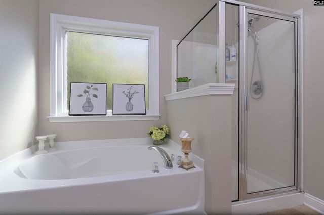 304 Plymouth Pass Drive, Lexington, SC 29072