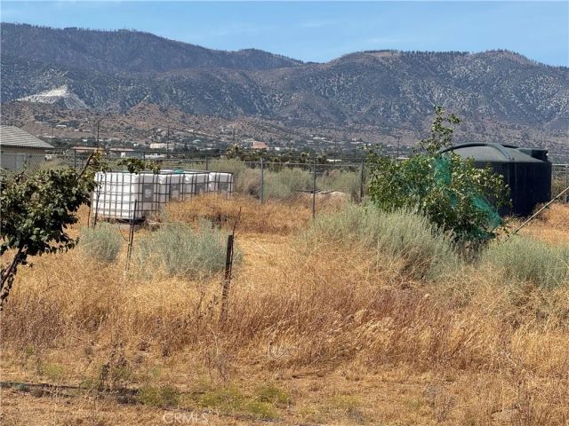 9934 Lager, Phelan, CA 92371