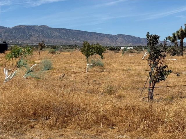 9934 Lager, Phelan, CA 92371