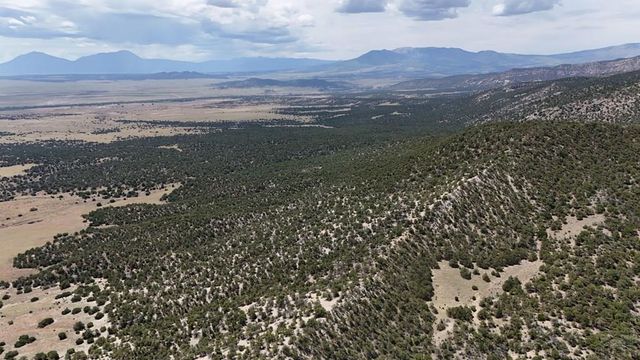 TBD County Road 616, Walsenburg, CO 81089