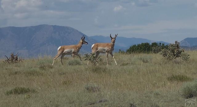 TBD County Road 616, Walsenburg, CO 81089