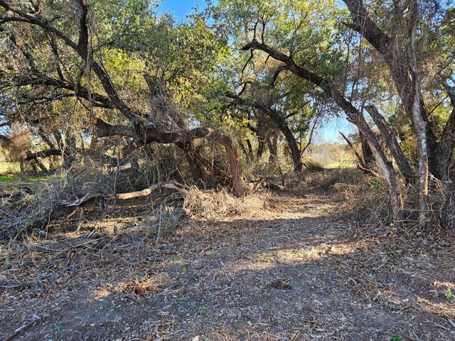 442 Hollow Drive, Lipan, TX 76462