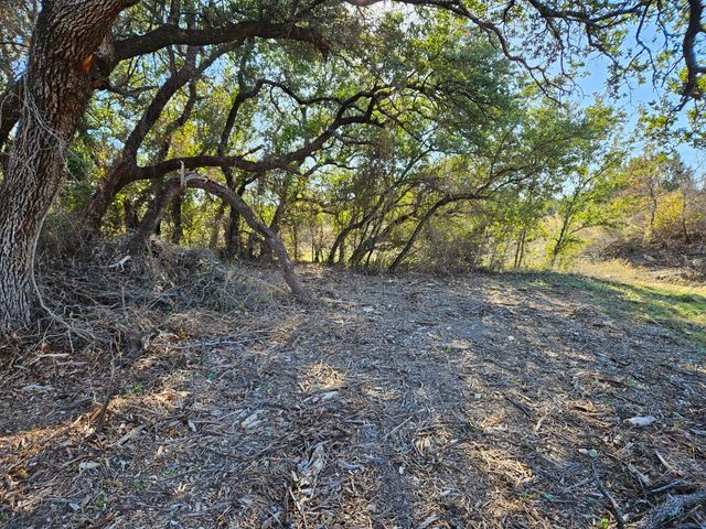 442 Hollow Drive, Lipan, TX 76462