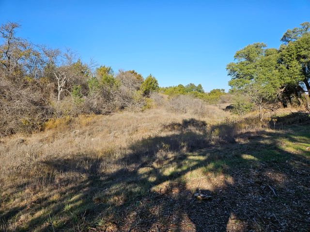 442 Hollow Drive, Lipan, TX 76462