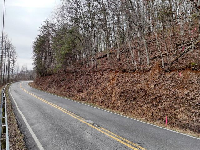 0.65 AC Barnes Chapel Road, Blue Ridge, GA 30513