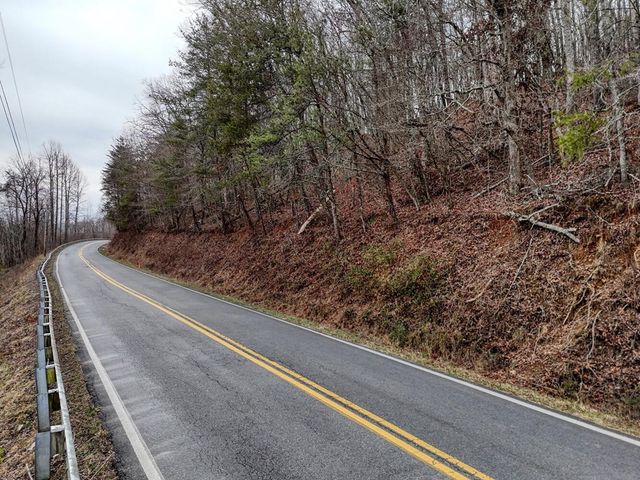 0.65 AC Barnes Chapel Road, Blue Ridge, GA 30513