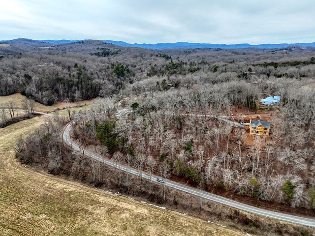 0.65 AC Barnes Chapel Road, Blue Ridge, GA 30513