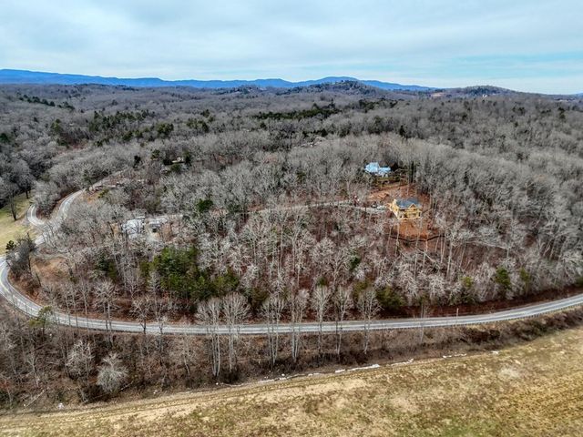 0.65 AC Barnes Chapel Road, Blue Ridge, GA 30513