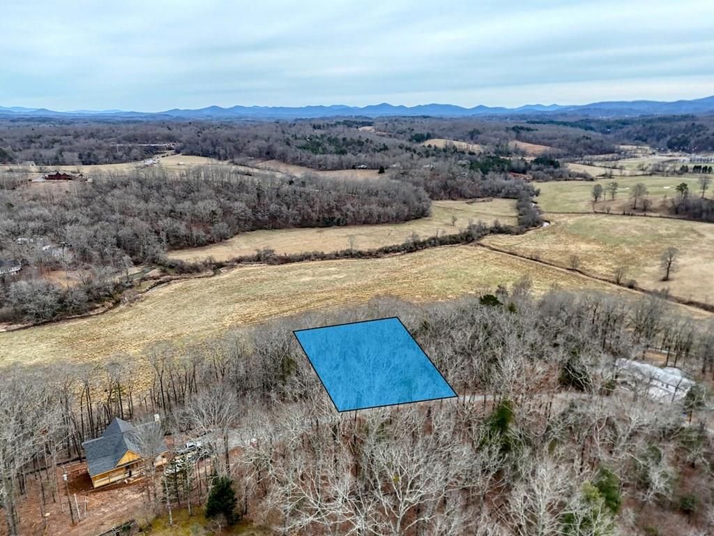 0.65 AC Barnes Chapel Road, Blue Ridge, GA 30513