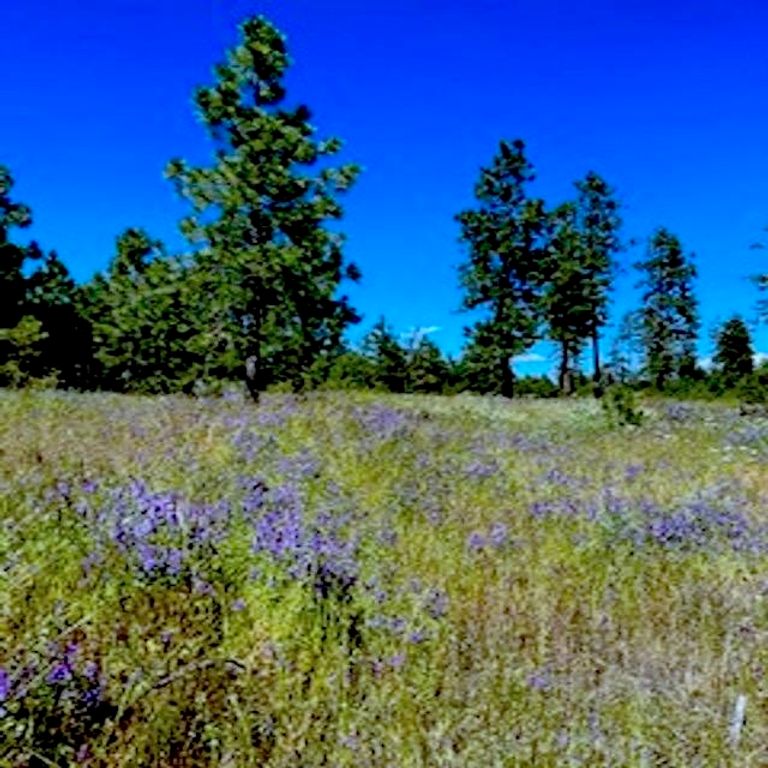 Lot A Kronos Short Plat/Pine Hen Ln, Davenport, WA 99122