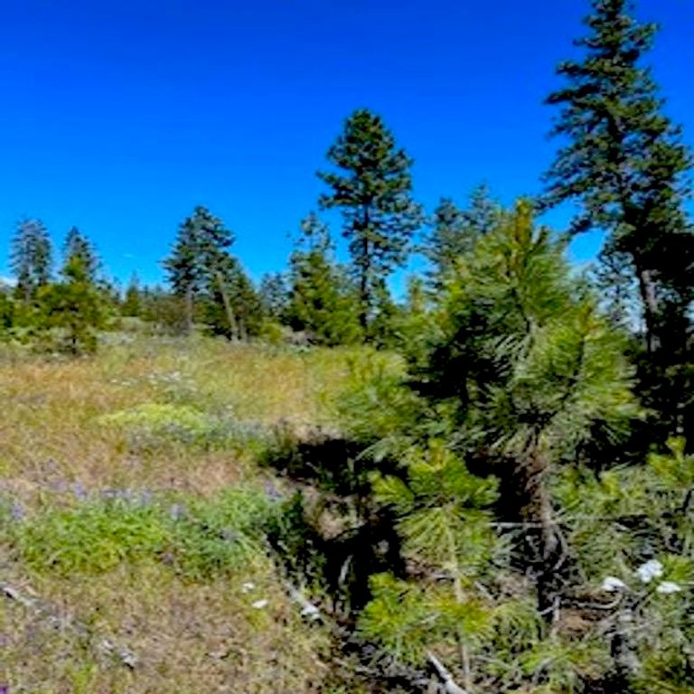 Lot A Kronos Short Plat/Pine Hen Ln, Davenport, WA 99122 photo 2
