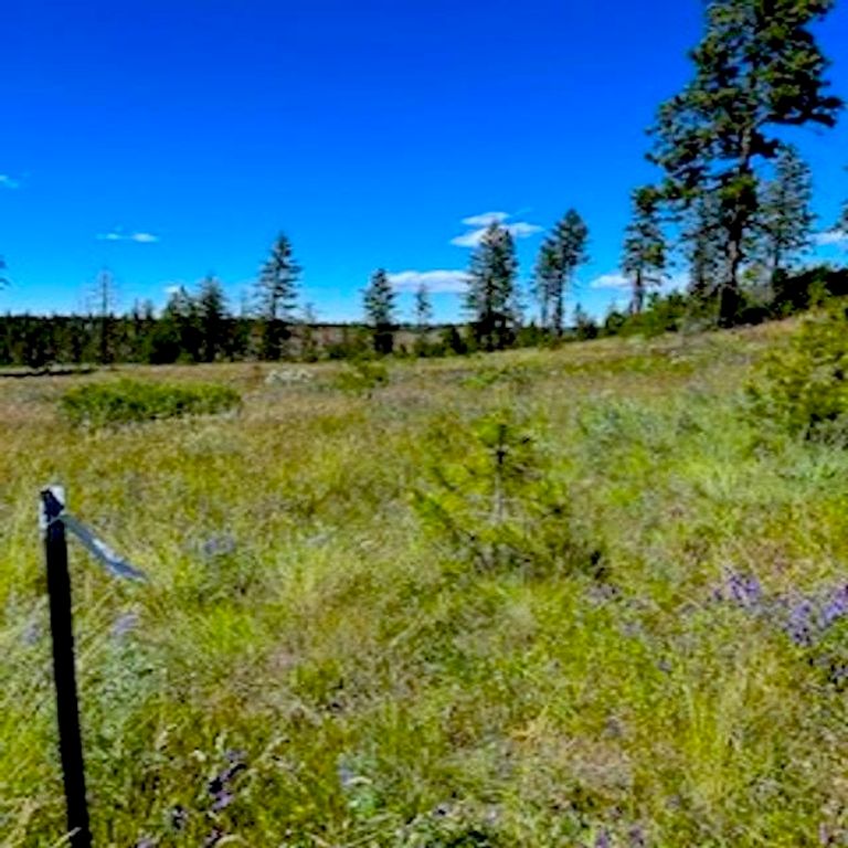 Lot A Kronos Short Plat/Pine Hen Ln, Davenport, WA 99122 photo 12