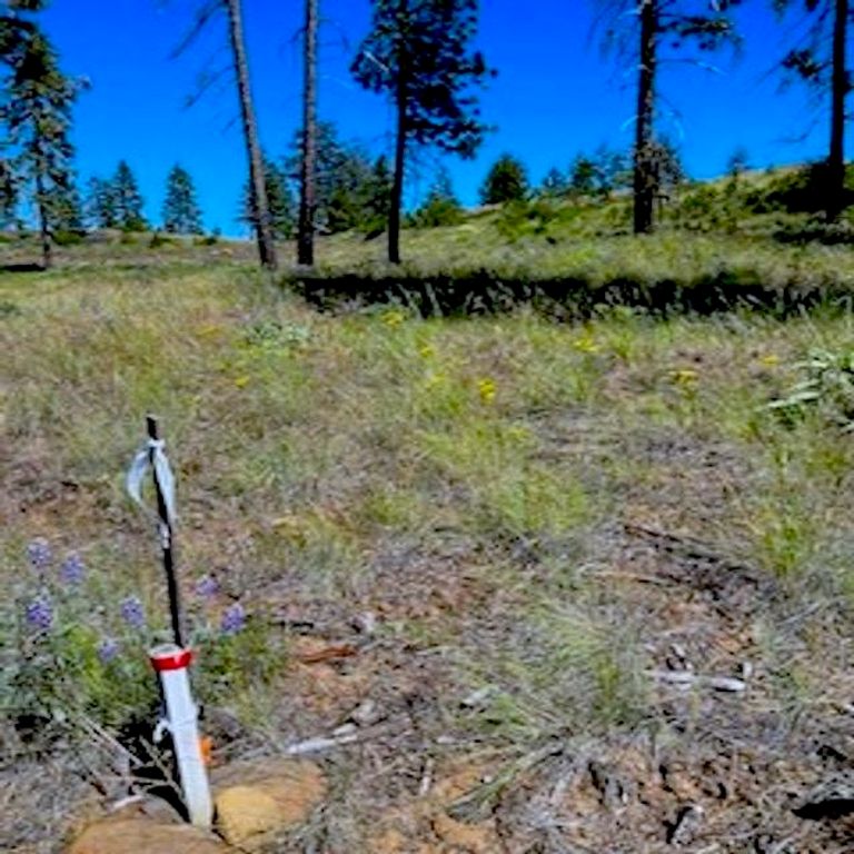 Lot A Kronos Short Plat/Pine Hen Ln, Davenport, WA 99122 photo 15