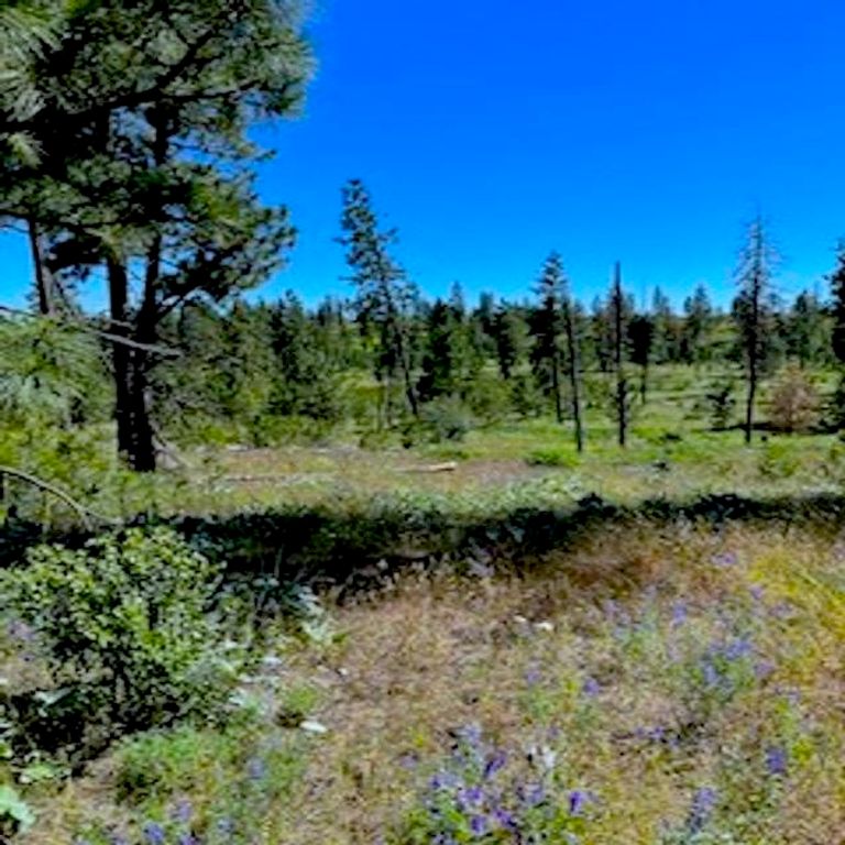 Lot A Kronos Short Plat/Pine Hen Ln, Davenport, WA 99122 photo 3
