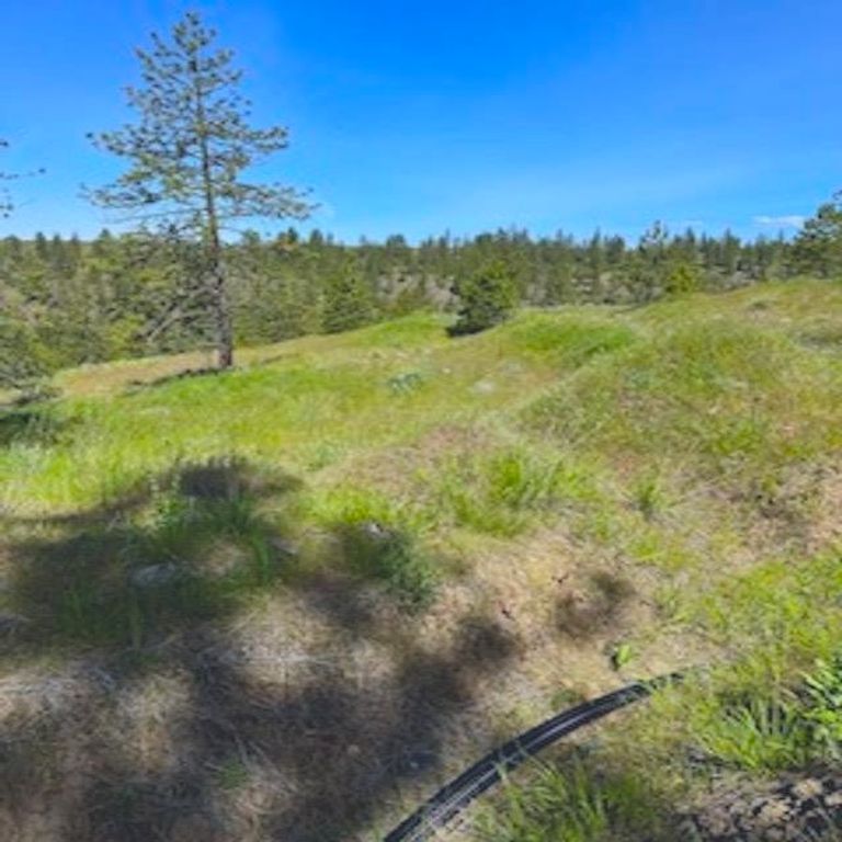 Lot A Kronos Short Plat/Pine Hen Ln, Davenport, WA 99122 photo 32