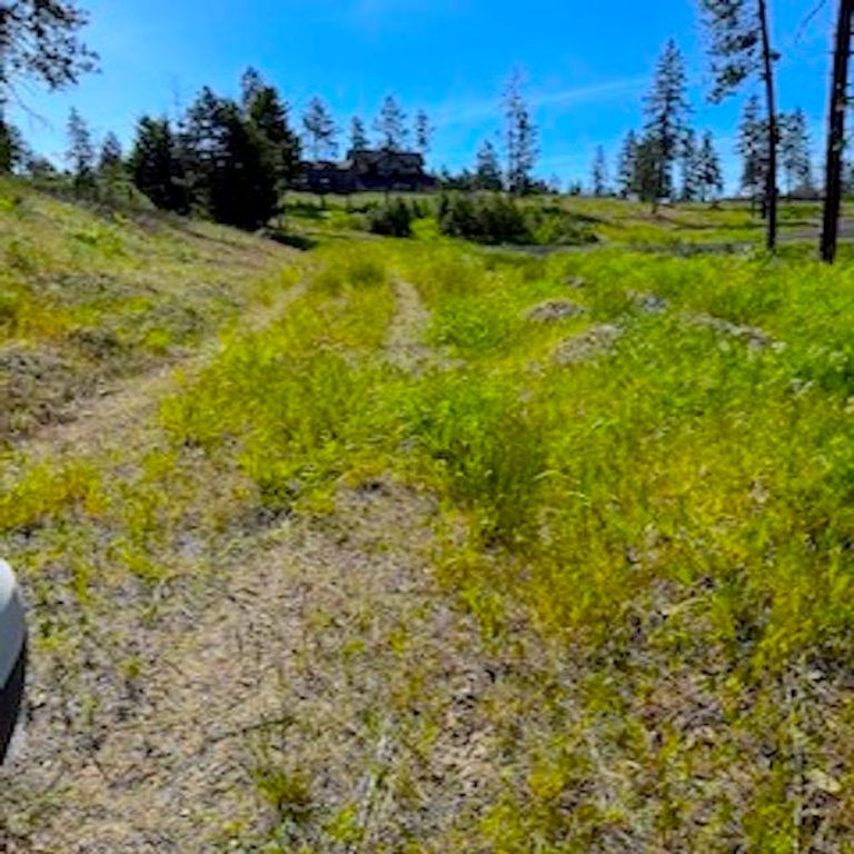 Lot A Kronos Short Plat/Pine Hen Ln, Davenport, WA 99122 photo 33