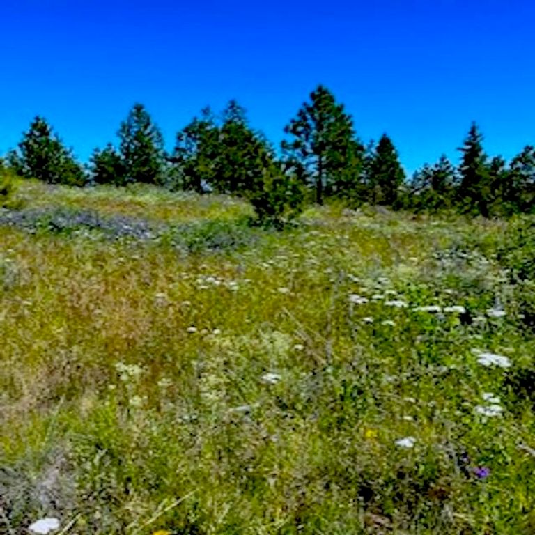 Lot A Kronos Short Plat/Pine Hen Ln, Davenport, WA 99122 photo 5