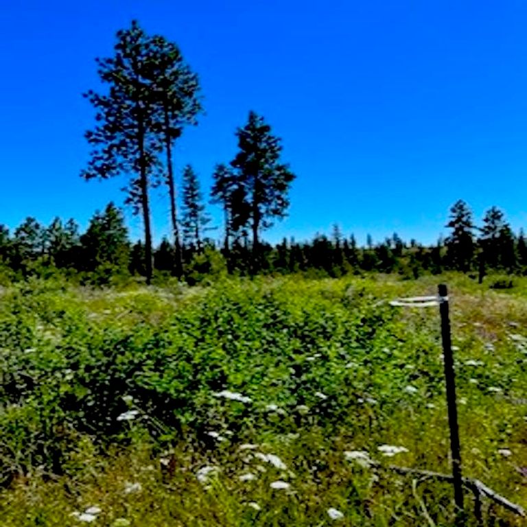 Lot A Kronos Short Plat/Pine Hen Ln, Davenport, WA 99122 photo 6