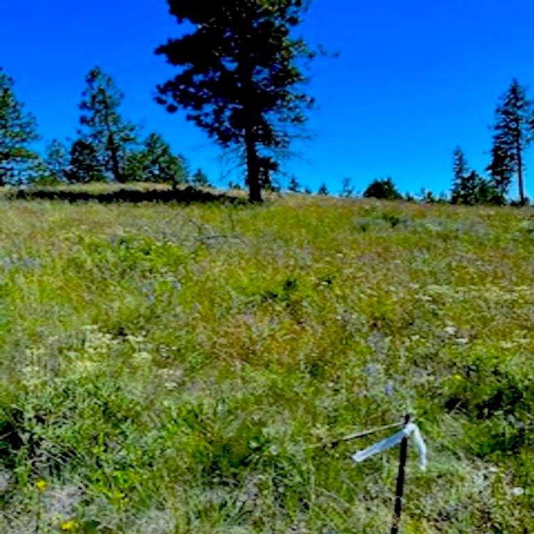 Lot A Kronos Short Plat/Pine Hen Ln, Davenport, WA 99122 photo 7