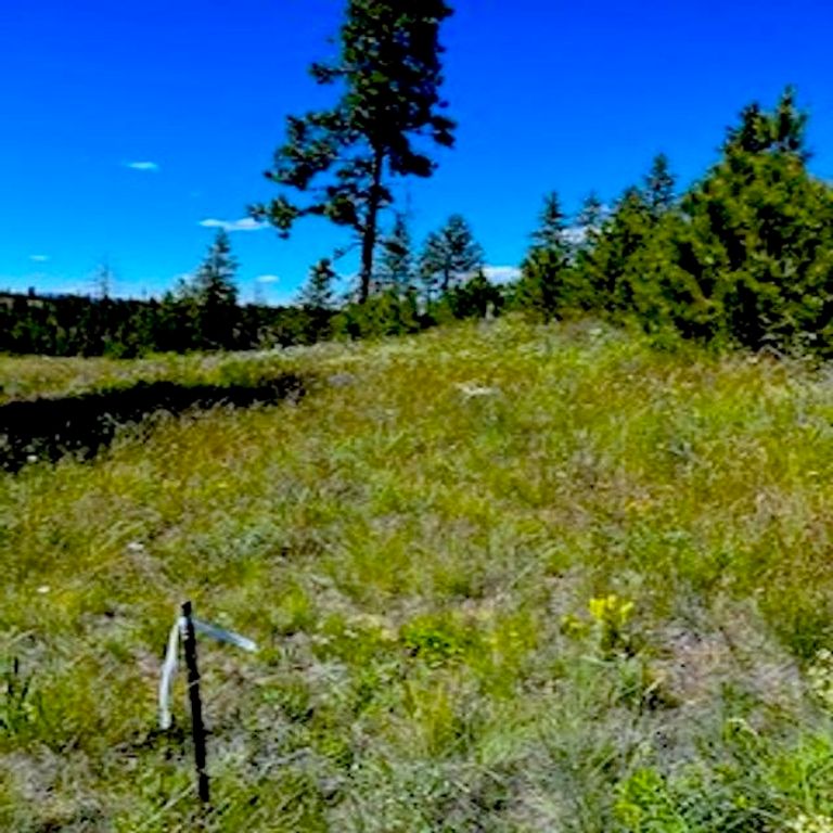 Lot A Kronos Short Plat/Pine Hen Ln, Davenport, WA 99122 photo 8