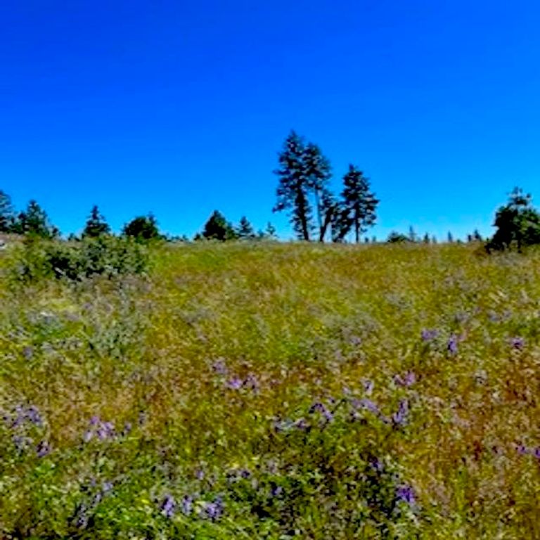 Lot A Kronos Short Plat/Pine Hen Ln, Davenport, WA 99122 photo 9