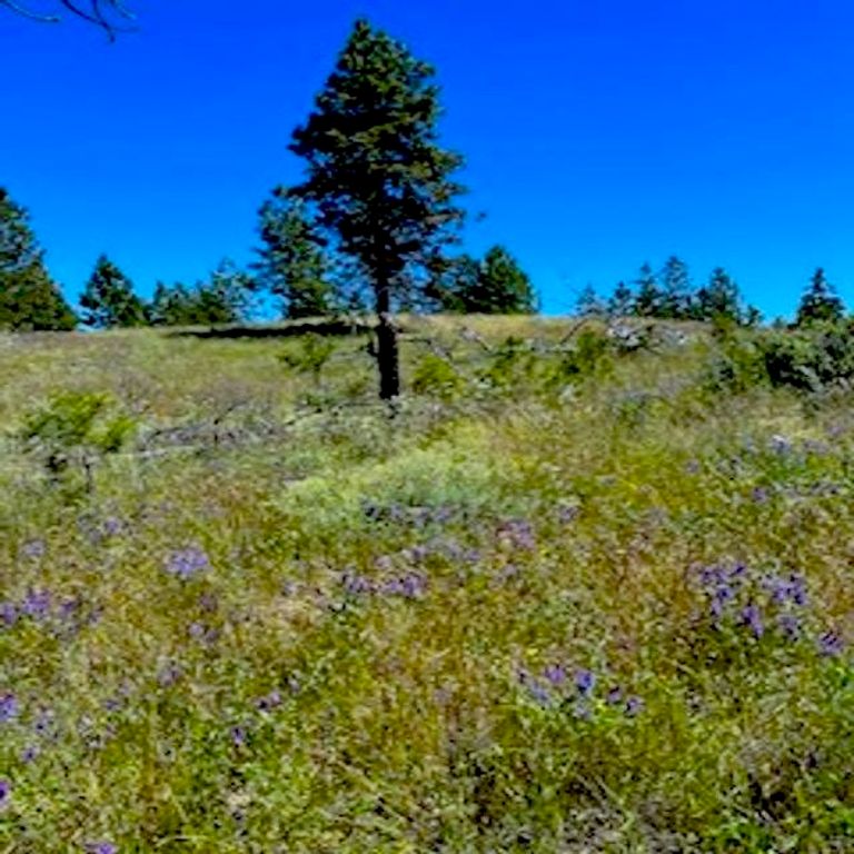 Lot A Kronos Short Plat/Pine Hen Ln, Davenport, WA 99122 photo 10