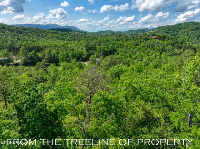 13 Mountain Dreams Way, Sevierville, TN 37876