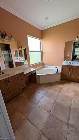 15359 Yellow Wood DR, Alva, FL 33920