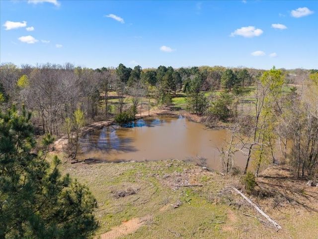 3115 RS County Rd 2610, Alba, TX 75410