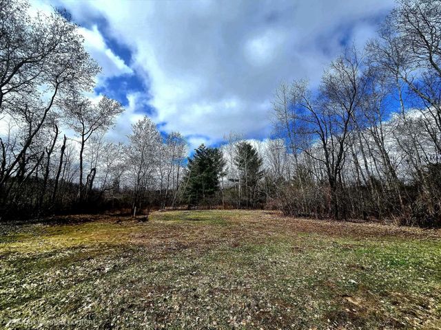 6939 170th Avenue, Austin Twp, MI 49326