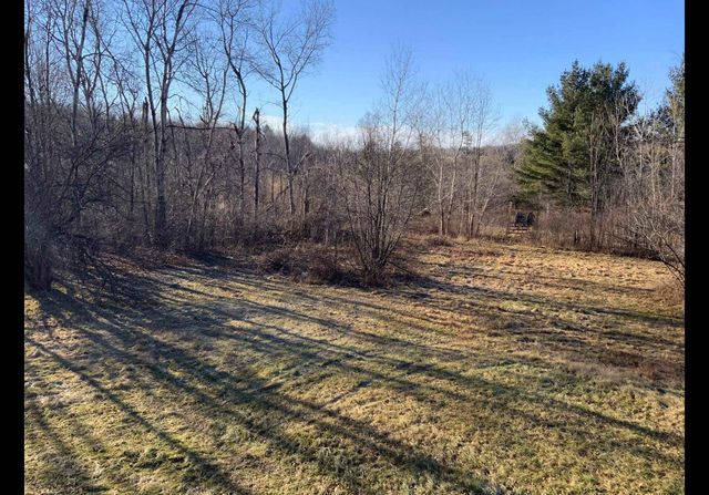 6939 170th Avenue, Austin Twp, MI 49326