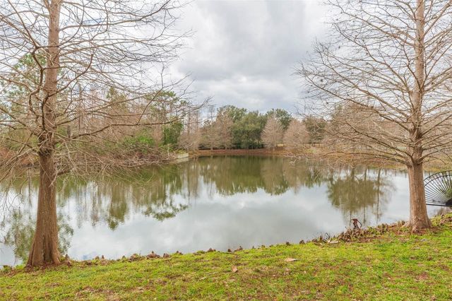 4808 BUTLER NATIONAL DRIVE, Wesley Chapel, FL 33543