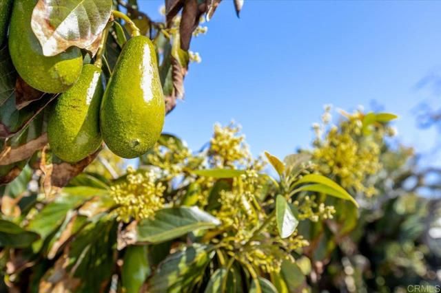 3630 Donna Drive, Carlsbad, CA 92008