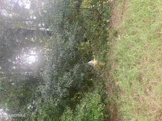 Lot 2 College Drive, Laurinburg, NC 28352