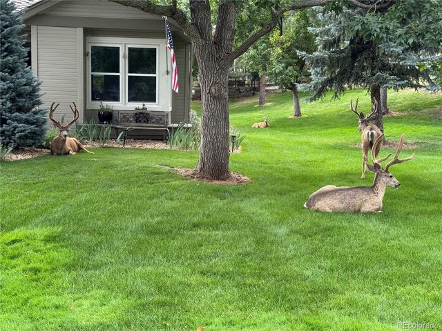 4 Red Cedar, Littleton, CO 80127