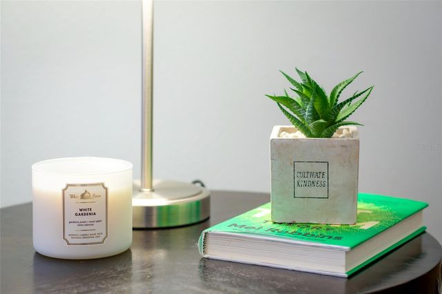 13838 OCEAN PINE CIRCLE, Orlando, FL 32828