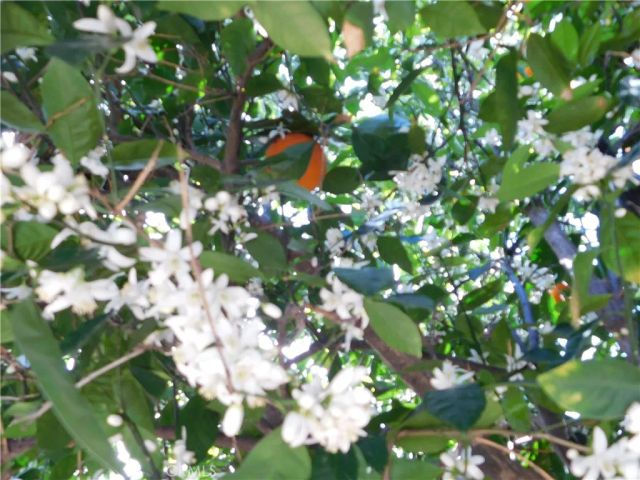 2200 W WILSON 82, Banning, CA 92220