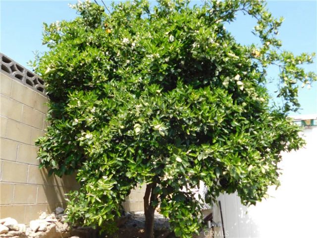 2200 W WILSON 82, Banning, CA 92220