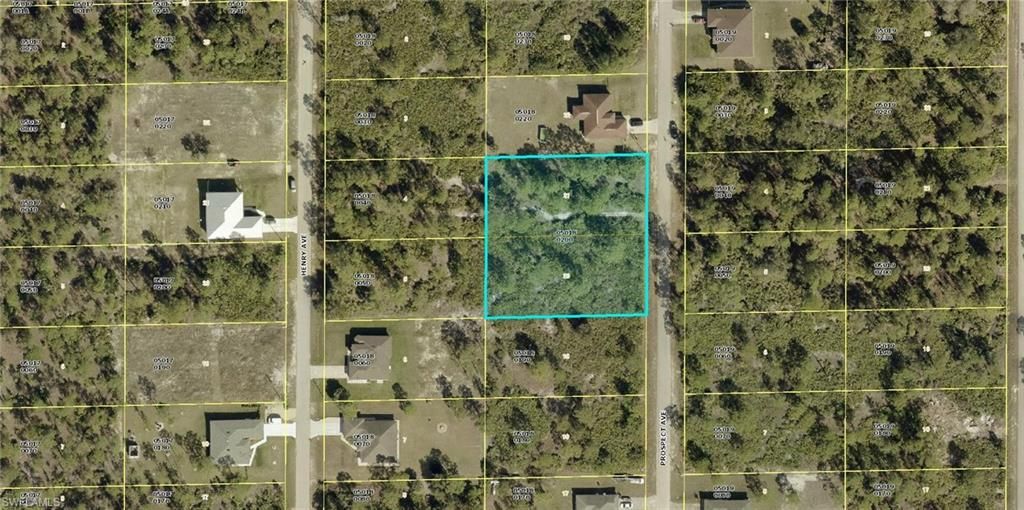 1315 Prospect AVE, LEHIGH ACRES, FL 33972 — exterior